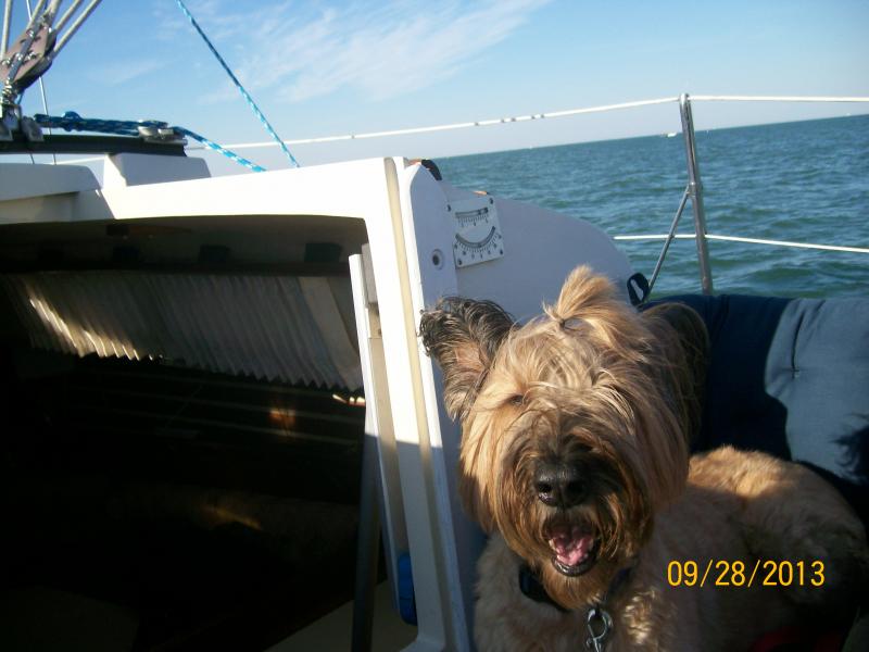 Marley heading for Pelee Island