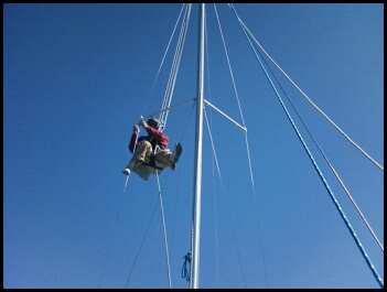 MAST1