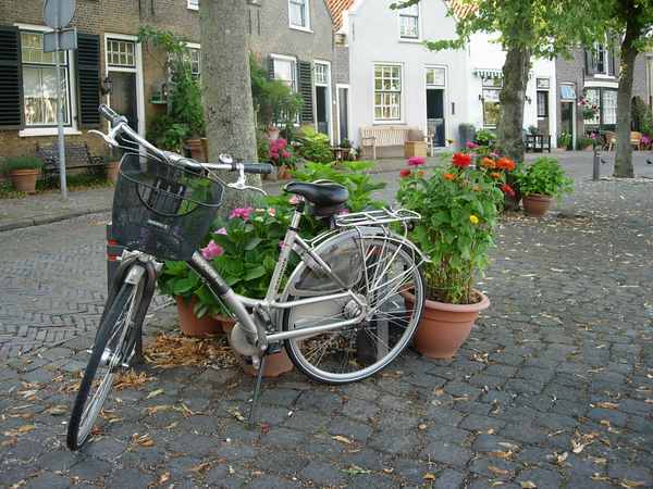 Middelharnis - Bike