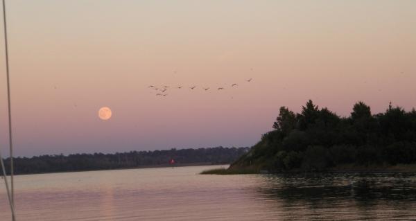 Moon rise on the ICW near New River, Jacksonville, NC