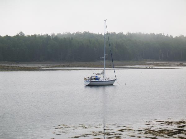 Morning at Warren island, ME