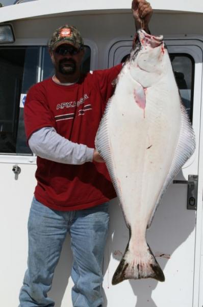 nice halibut