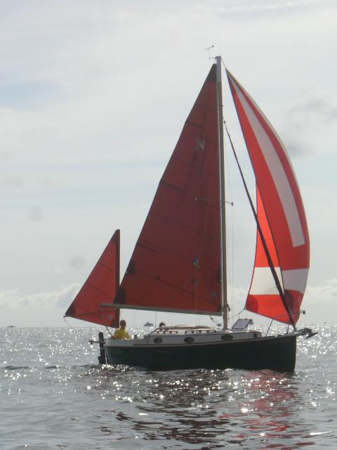 Nimble 24 with Cruising Spinnaker