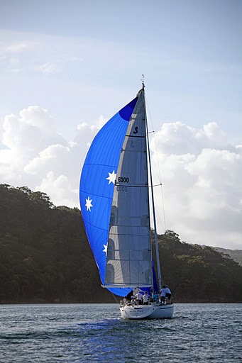 Ocean Road - Pittwater Western Shore