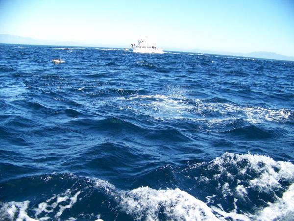 Off shore Ventura, Ca.