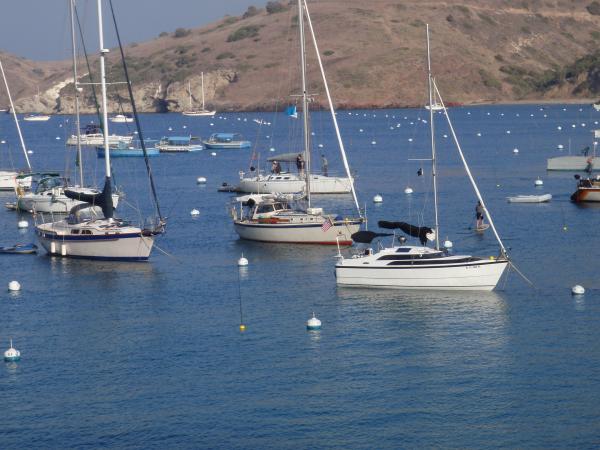 On a mooring ball at Santa Catalina Island on the way to San Diego