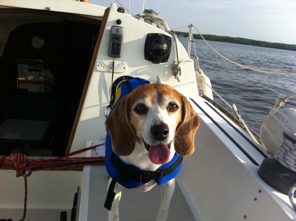 Patuxent River, first time out on the sailboat.