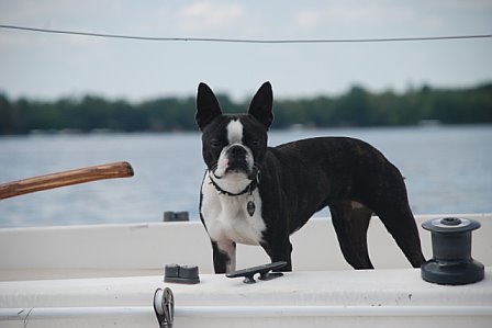 Phoebe, the first mate