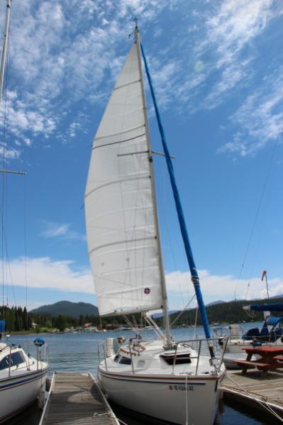 Phoenix gets a new mainsail