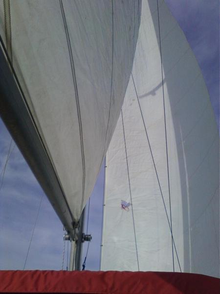 Photo01220942