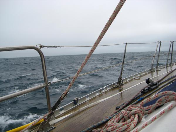 Pictures 037