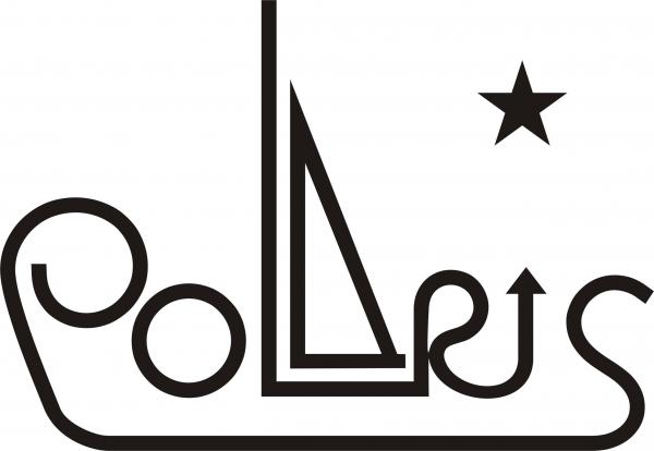 polaris Logo designed and copy righted by me.