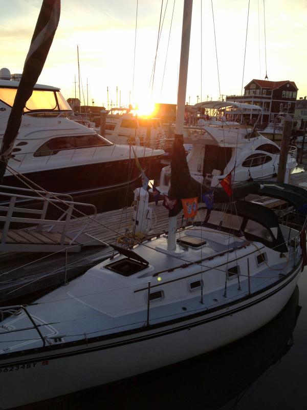 Puffin at South Jersey Marina, Cape May, NJ