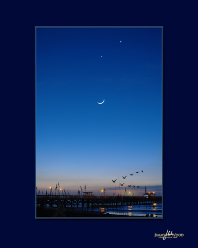 &quot;Morning Flight&quot;  Taken at Myrtle Beach, SC