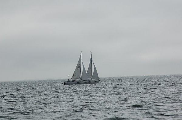 Racing the only other 'D' in our club.  We have around 18 boats that race regularly, but only one other Mac like ours.  We handicap all racers, so it's a fair fight no matter what the weather.