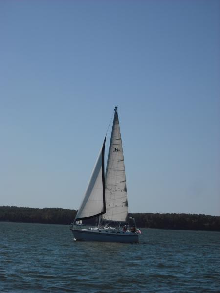 Rogue under sail on Kentucky Lake