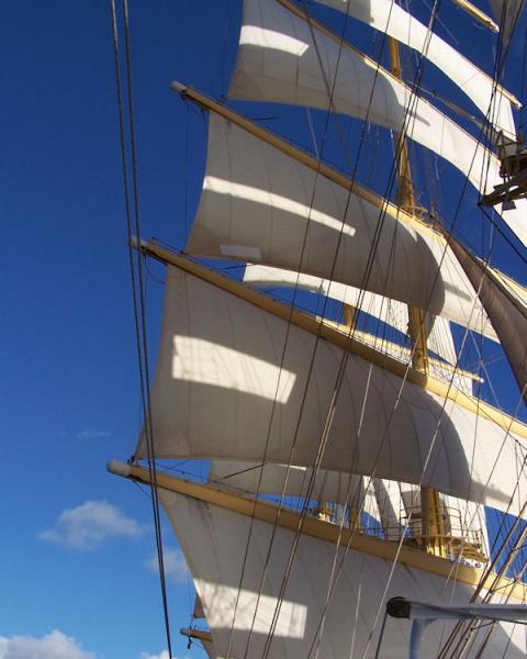 Royal Clipper sails.
