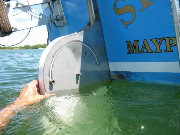 Rudder in Joe Pool