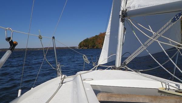sail11