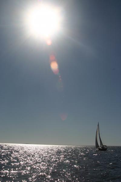 Sailing under a nice fall sun