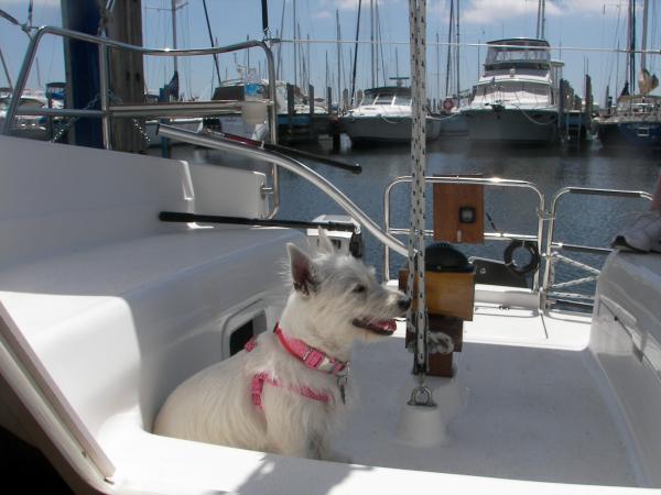 Sailor Ellie - Menominee MI Marina