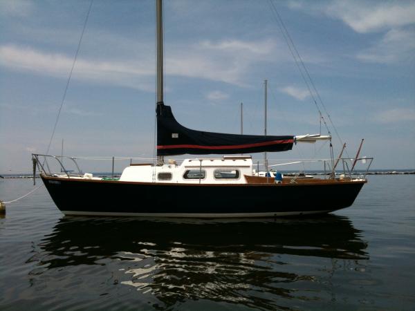 Sea Joy #345