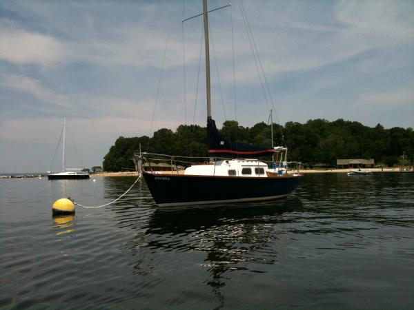Sea Joy #345