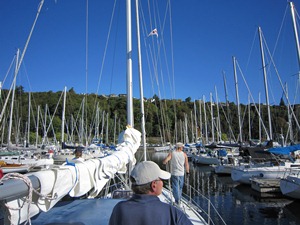 Sea Wings headed into Homeport