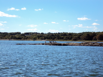 Seal Rock