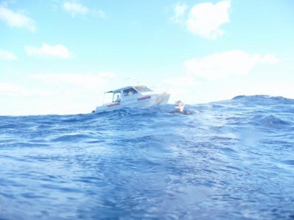 Searching for Whales - Tonga