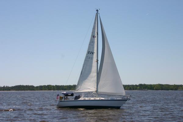 SeaWings on the Neuse River, NC.