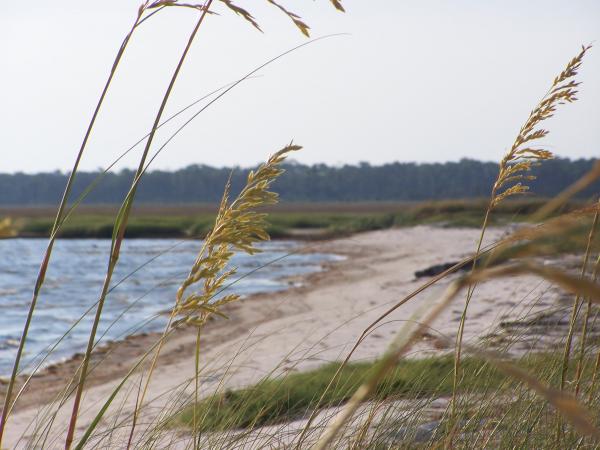 Smugglers Cove, Cat Island MS