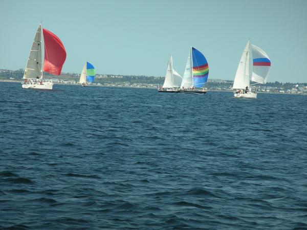 Spinnaker sailing Halifax Harbour