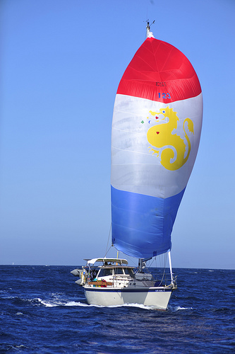 spinnaker shot taken by another boat in the 2008 Baja Haha.
The fun rally from San Diego to Cabo San Lucas, Mexico.  750 miles, not bad for a 1982 O'Day 34