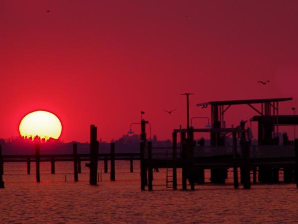 Sunset from Regatta Pointe Marina, Palmetto, FL