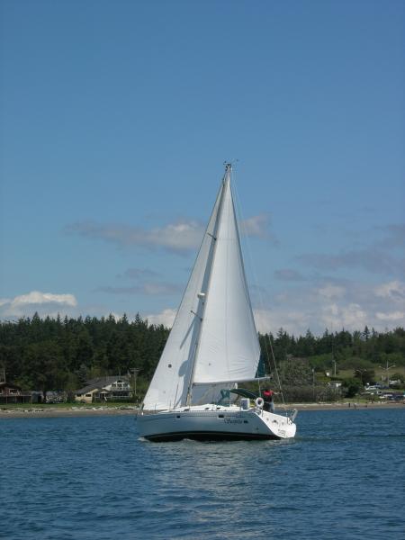 Surprise in Guemes Channel June 11, 2010.

Photo taken by Brett Richards while he was sailing the &quot;Gypsy&quot;.