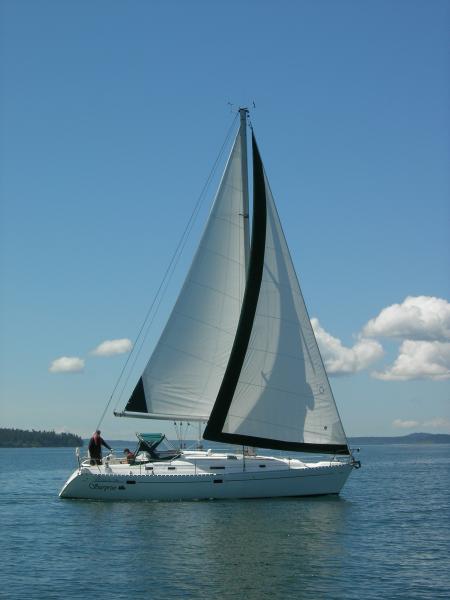 Surprise in Guemes Channel June 11, 2010.

Photo taken by Brett Richards while he was sailing the &quot;Gypsy&quot;.