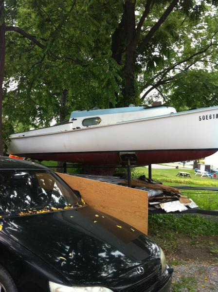 The first sighting!
For Sale
How hard could it be?