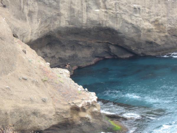 The island is home to sea lions, seals and birds