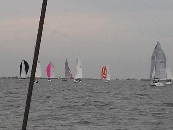 The pink one at the front