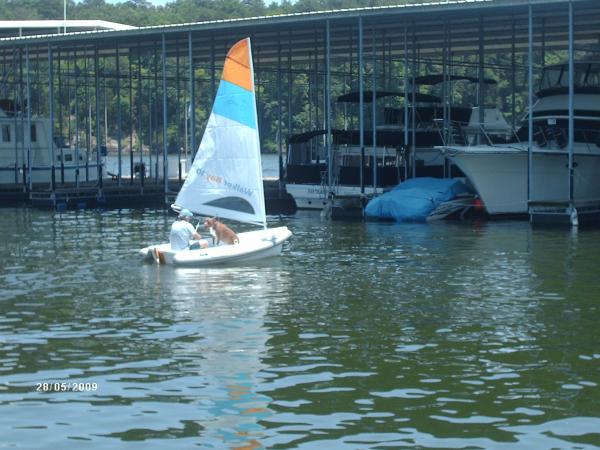 this dog (brindle) would rather sail than eat.