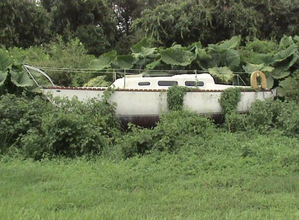 This is how I found the boat. It was setting on blocks and old tires.