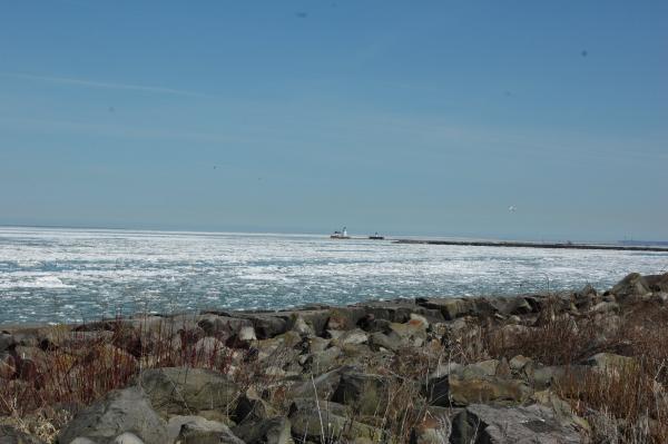 This is Lake Erie in March, That's how we roll !!!!
Hard to believe, six weeks later, it was melted and gone..