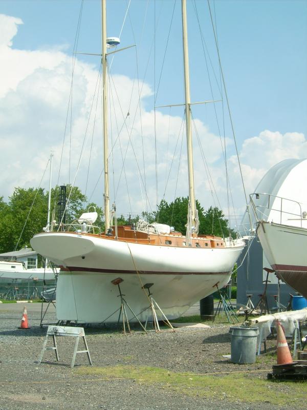 white hawk sailing yacht