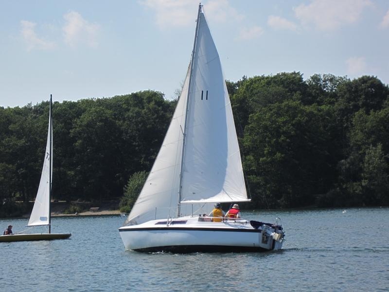 Topiary at Fanshawe Yacht Club. 2012 Racing