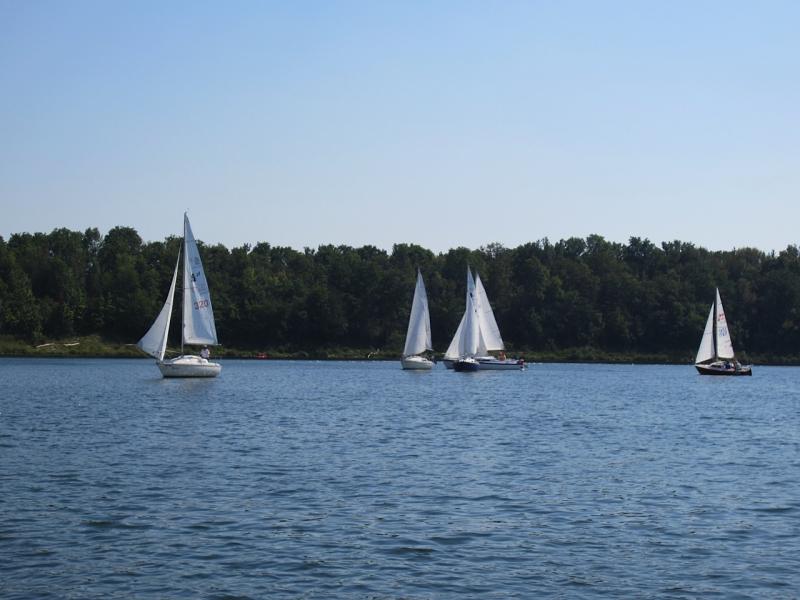 Topiary at Fanshawe Yacht Club. 2012 Racing