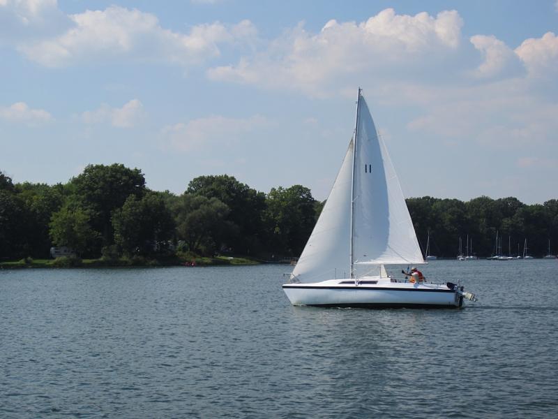 Topiary at Fanshawe Yacht Club. 2012