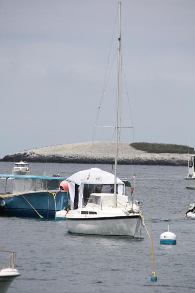 Two Harbors Catalina 1