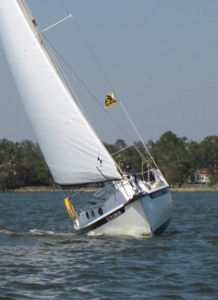 WindRush and Capt'n enjoying a good breeze.