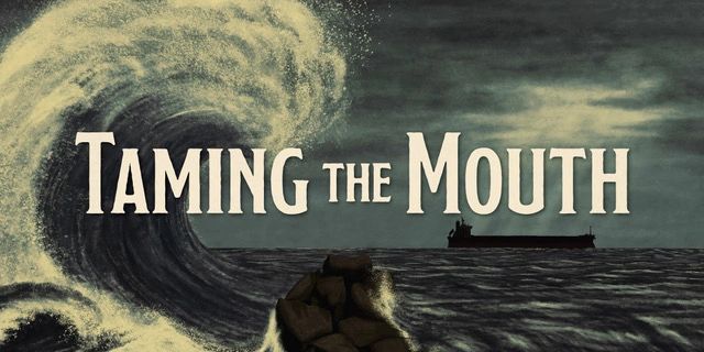 tamingthemouth.com